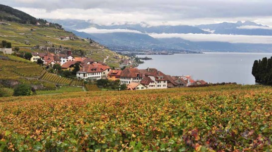 when in lausanne switzerland yinnyang main image 1